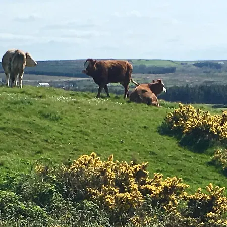 Apartman Atlantic Garden