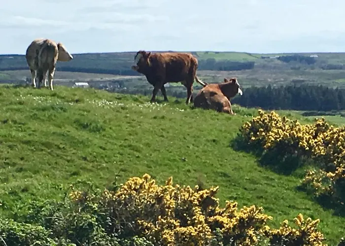Апартаменты Atlantic Garden